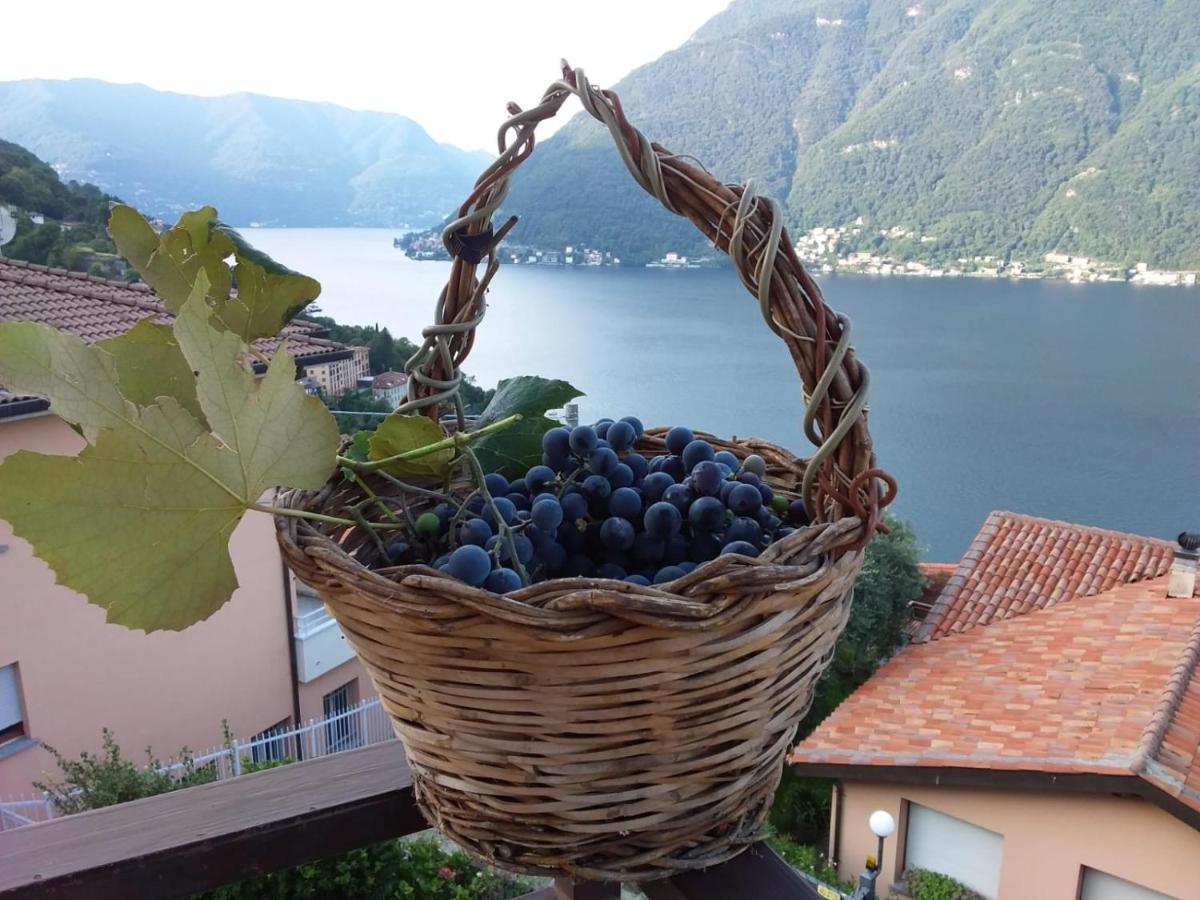Romantic Home - Lake Como Nesso Bagian luar foto
