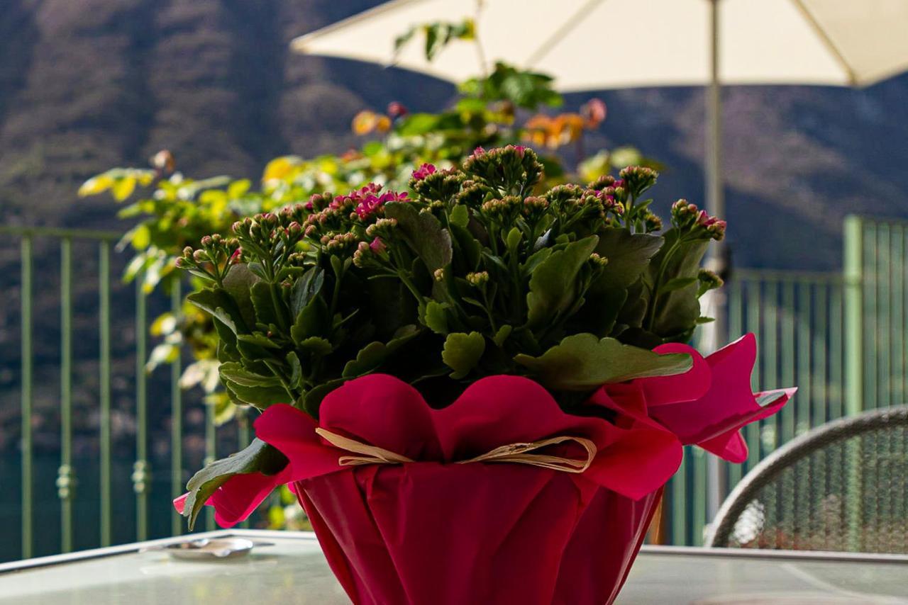 Romantic Home - Lake Como Nesso Bagian luar foto